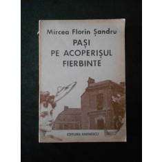 Mircea Florin Sandru - Pasi pe acoperisul fierbinte