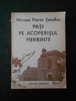 Mircea Florin Sandru - Pasi pe acoperisul fierbinte foto