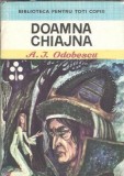 Doamna Chiajna - Al. I. Odobescu