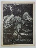 C. CALAFETEANU , COLLECTIONS &#039; MAITRE DE L &#039; ART CONTEMPORAIN &#039; , ANII &#039; 70 - &#039; 80
