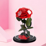 Cumpara ieftin Trandafir Criogenat mare rosu &Oslash;9,5cm in cupola 12x25cm