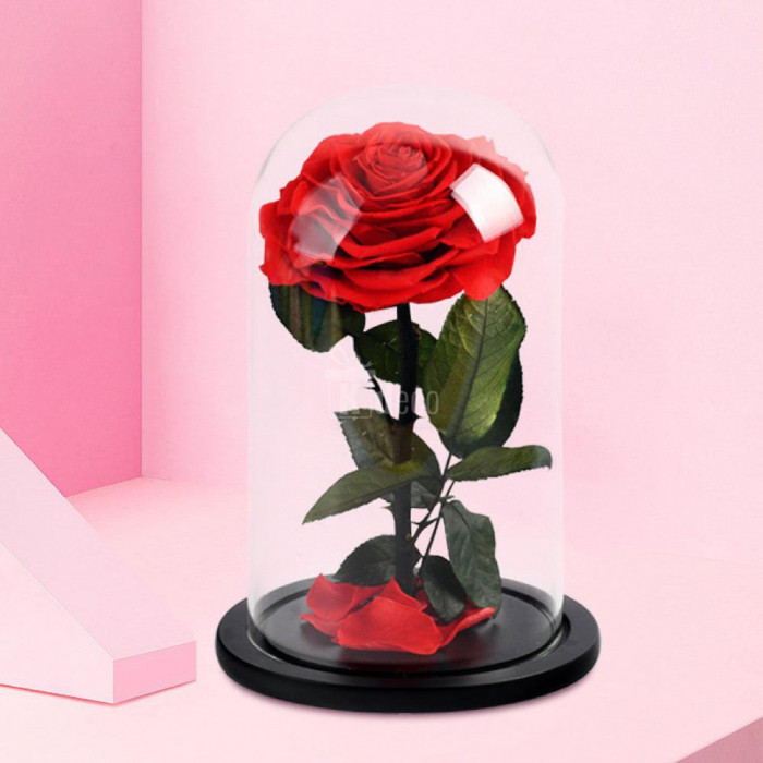 Trandafir Criogenat mare rosu &Oslash;9,5cm in cupola 12x25cm