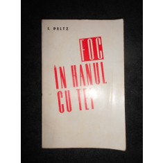 Isac Peltz - Foc in hanul cu tei (1970)