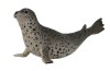Figurina Foca Pestrita Collecta, Plastic, Multicolor, Jucarie Copii, 3+ ani, 10.5 cm