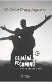 De mana, pe Camino - Ovidiu Dragos Argesanu, Ovidiu-Dragos Argesanu