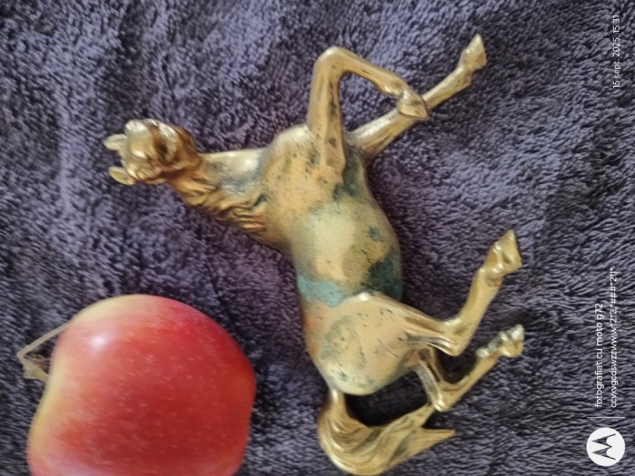 superb calut , bronz placat cu aur ,stare excelenta