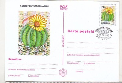 bnk cp Cactusi - necirculata - marca fixa - stampila prima zi - 020/97 foto