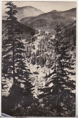 bnk cp Drumul spre Borsec - Vedere - circulata foto