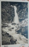 Carte postala, Busteni, cascada Urlatoarea, 1931