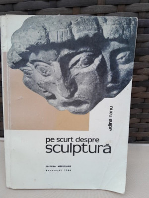 Pe scurt despre sculptura - Adina Nanu foto