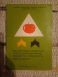 Din experienţa asociaţiilor intercooperatise &icirc;n producerea legumelor &icirc;n sere şi solarii