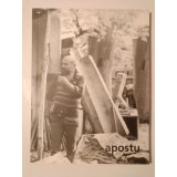 George Apostu 1934-1986: sculptură - desen (expoziție comemorativă, decembrie 2000)