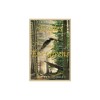 Eagles and Evergreens