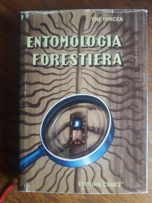 Entomologia forestiera, silvicultura - Ene Mircea / R3P4S