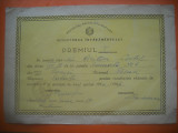 HOPCT DIPLOMA PREMIUL I SCOLAR-1966 -1967 NR 86 RSR MINISTERUL INVATAMINTULUI