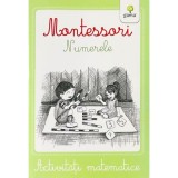 Activitati matematice Montessori. Numerele
