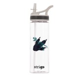 Bidon Strigo Dinosaur Collection, 600 ml