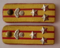 C1 4 - Grade militare - veston - comunism RSR - colonel infanterie - argintiu