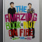 THE AMAZING BOOK IS NOT ON FIRE - THE WORLD OF DAN and PHIL , 2015