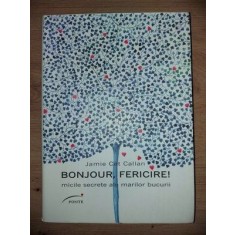 Bonjour, fericire!Micile secrete ale marilor bucurii - Jamie Cat Callan