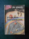 JOHN GALSWORTHY - FLOAREA INTUNECATA