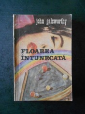 JOHN GALSWORTHY - FLOAREA INTUNECATA foto