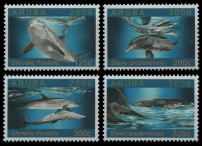 Aruba 2009 - Fauna marina, delfini, serie neuzata foto