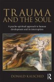 Trauma and the Soul: A Psycho-Spiritual Approach to Human Development and Its Interruption