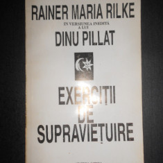 Rainer Maria Rilke - Exercitii de supravietuire