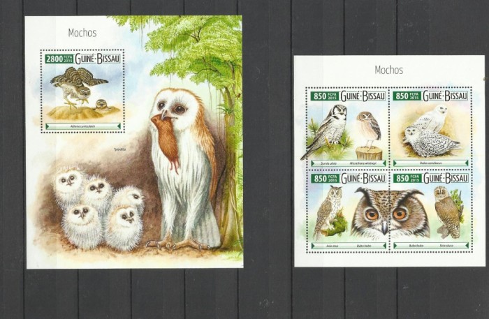 GUINEA BISSAU 2015 PASARI DE PRADA BUFNITE