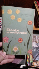 Plante medicinale &amp;amp;#8211; Constantinescu, Bujor foto