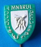 Insigna veche de colectie LEMNARUL ODORHEIUL SECUIESC - Rara