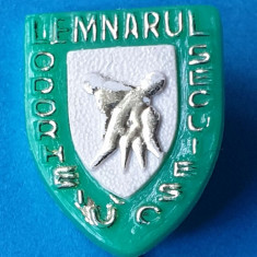 Insigna veche de colectie LEMNARUL ODORHEIUL SECUIESC - Rara