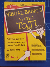 Visual Basic 3 pentru toti - Wallace Wang - trad. Cristina Botez - Teora 1996 foto