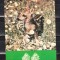 C9 23 - 1984 - Calendar de buzunar - Ministerul silviculturii - ocrotiti padurea
