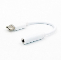 Adaptor USB-C tata - jack 3.5mm mama 11cm Well foto