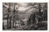 SV * RESITA * CARTIER LA PERIFERIE * 1942 * Stampila Cenzura Timisoara * WWII, Circulata, Fotografie, Printata