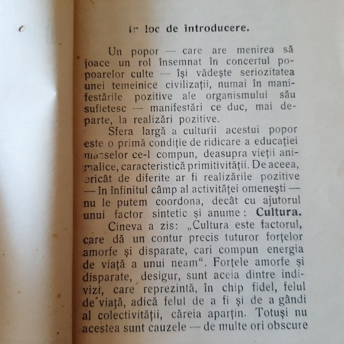 Ioan Popovici-Banateanu (viata, opera, prof. Traian Topliceanu, 1930)