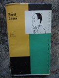 Karel Čapek- KL&Iacute;MA IVAN - LIMBA CEHA