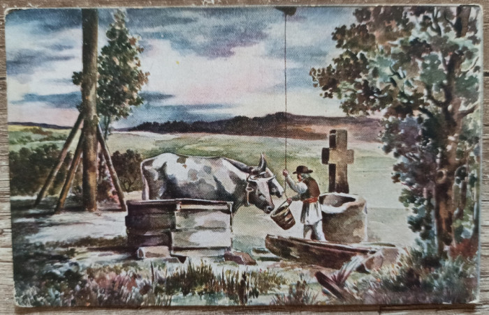 Adapatul boilor, pictor Aurel Dragos// CP Societatea Gospodariilor Rurale