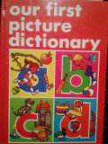 Brown Watson - Our first picture dictionary