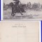 Cadrilater, Romania Mare-Razboiul balcanic 1913-militara