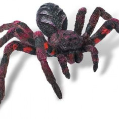 Wolf Spider - Figurina pentru copii