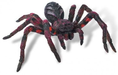 Wolf Spider - Figurina pentru copii foto