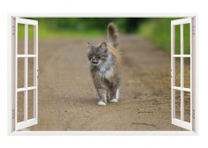 Sticker decorativ, Fereastra 3D, Pisica, 85 cm, 299STK