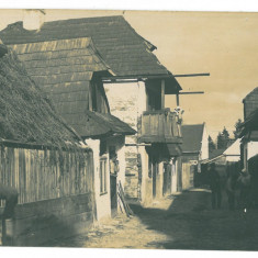 553 - TARGU-SECUIESC, Harghita, Romania - old postcard, real PHOTO - unused