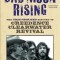 Bad Moon Rising: The Unauthorized History of Creedence Clearwater Revival