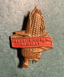 Insigna fruntas pentru 5000 kg pe hectar neirigat