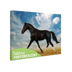 Tablou fosforescent Cal negru in desert foto