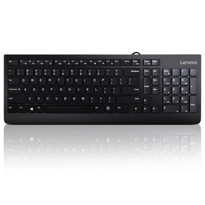 Lenovo 300 USB Keyboard - US English, Tip: Standard, Interfata